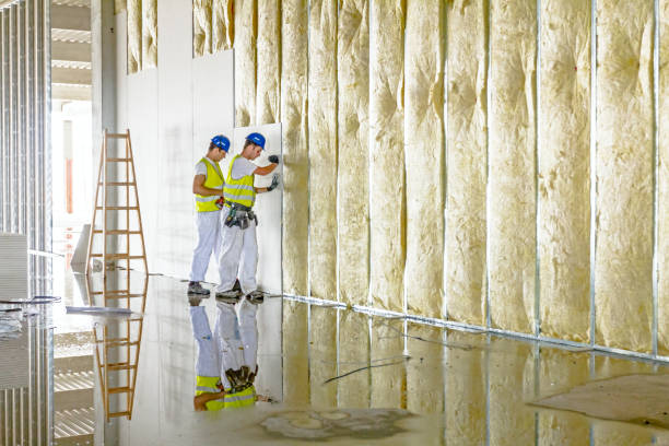 Best Insulation Installation Services in Bonsall, CA